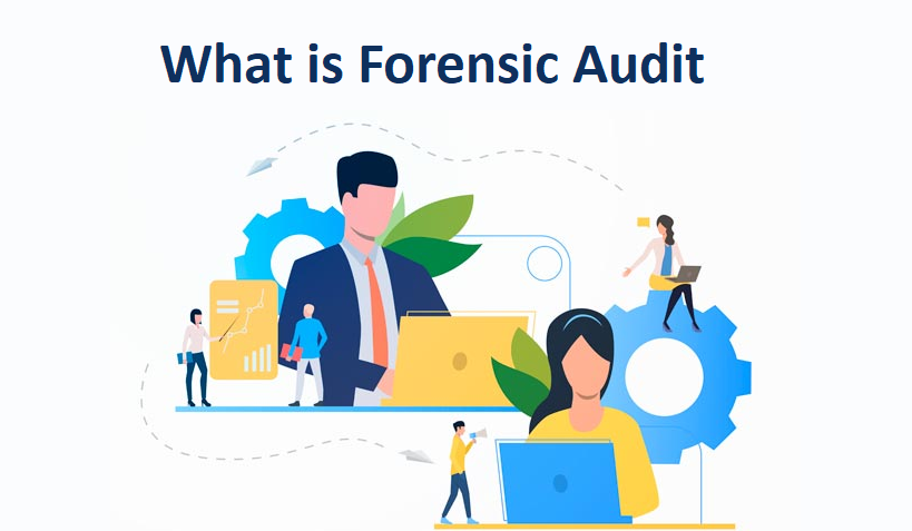 Forensic Audit | Blog | PK Chopra & Co.