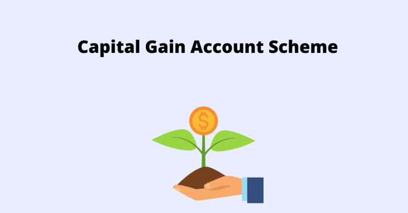 Capital Gain Account Scheme