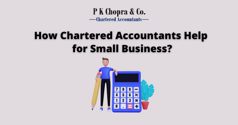 How Chartered Accountants Help for Small Business
